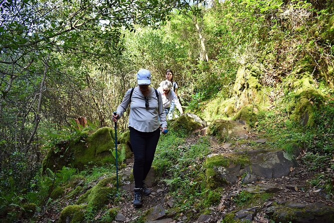 An adventure through the Schist Villages of Lousã (with walk) - Aldeia do Talasnal: iconic schist village, plus the uphill effort
