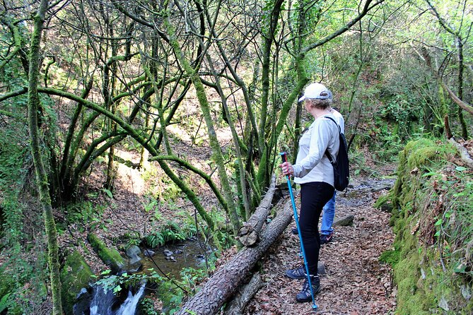 An adventure through the Schist Villages of Lousã (with walk) - A day built for walking comfort: sticks, coffee, and restroom reality
