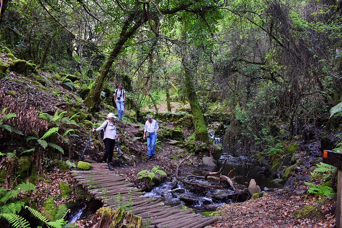 An adventure through the Schist Villages of Lousã (with walk) - Starting in Coimbra at 9:00, with pickup that actually helps