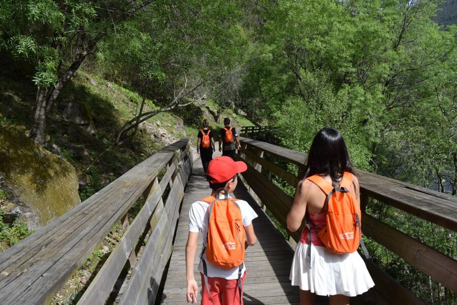 Arouca: Guided Tour Paiva Walkways + 516 Suspension Bridge - Entering the Paiva World: Where You Start in Arouca