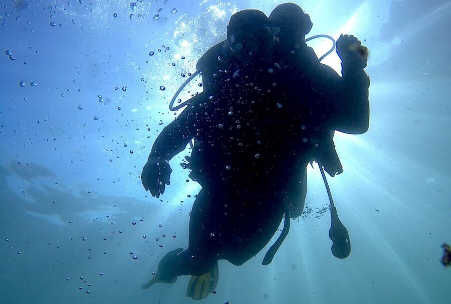 Arrábida - Sesimbra: Eco-Friendly Beginner's Scuba Diving - Where Arrábida Life makes your first scuba trial feel safe