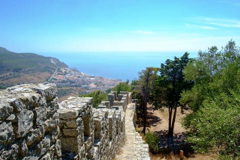 Arrabida Wine Tour - Lisbon: Wineries-Tastings-Tile Factory - Wine Stop 2: José Maria da Fonseca, Museum-Style and Old-Vine Feel
