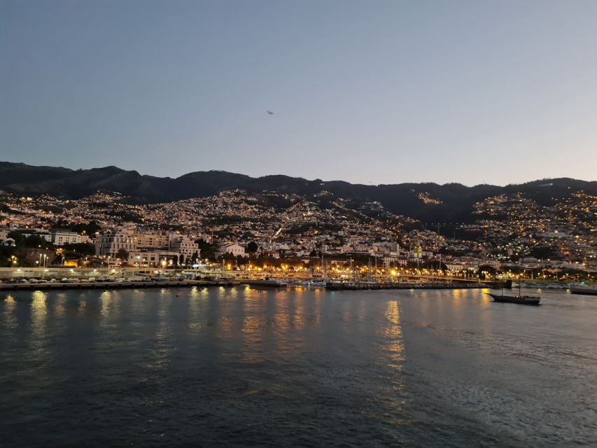 Audio Guide Citywalk Funchal for Cruise Guests - Palácio de São Lourenço and the park break that keeps you human