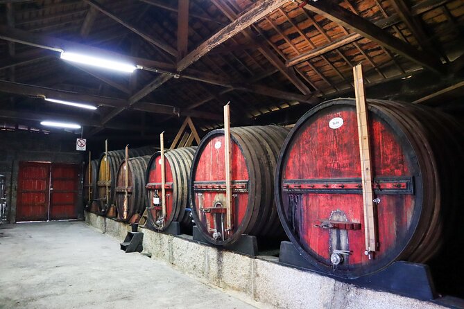 Authentic Small Group Douro Wine Tour with Lunch & River Cruise - Quinta do Tedo Winery Visit: How Port and Douro Wines Are Made