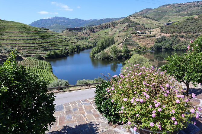 Authentic Small Group Douro Wine Tour with Lunch & River Cruise - Quinta do Beijo: The Owner-Led Stop That Changes the Mood