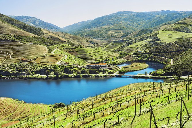 Authentic Small Group Douro Wine Tour with Lunch & River Cruise - Riding the Scenic N222 and Learning the Douro Story