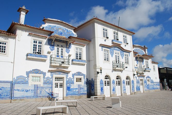 Aveiro and Costa Nova Half Day Tour from Porto with Boat Ride - Costa Nova do Prado: striped houses, quick beach air, and fast photo ops