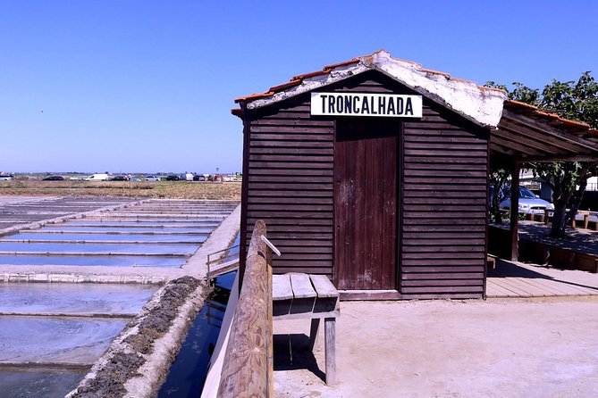 Aveiro and Costa Nova Half Day Tour from Porto with Boat Ride - Morning or afternoon departures: how to choose without overthinking it