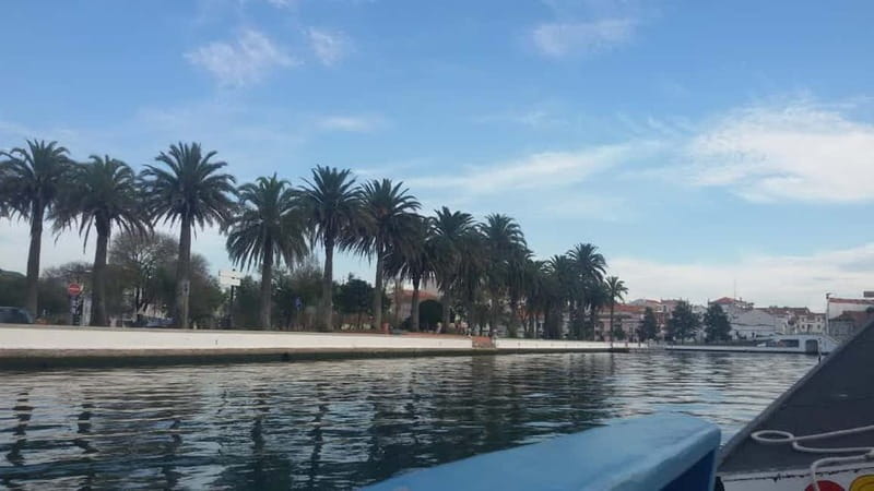 Aveiro & Coimbra Small Group Tour with Moliceiro Boat Cruise - From Porto Pickup to the Long Van Ride: What the Day Really Feels Like