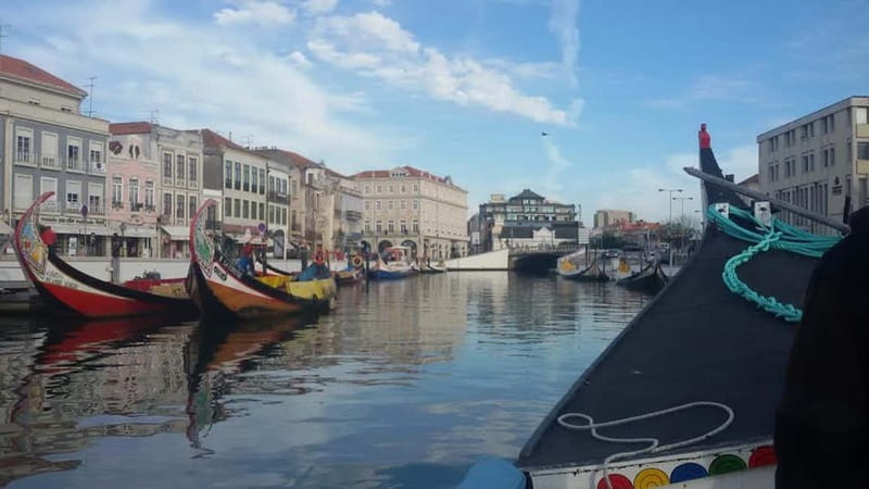 Aveiro & Coimbra Small Group Tour with Moliceiro Boat Cruise - Aveiro on Land: Fish Market, Railway Station, and Art Nouveau Flair
