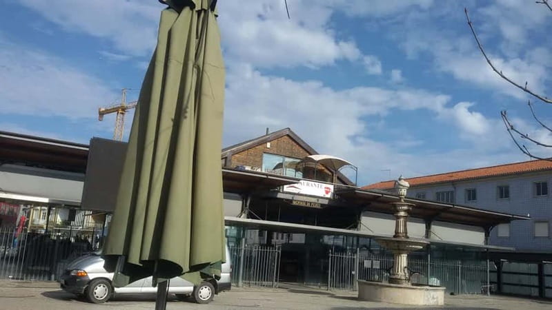 Aveiro & Coimbra Small Group Tour with Moliceiro Boat Cruise - Aveiro Free Time and Lunch Choices: Make Them Easy