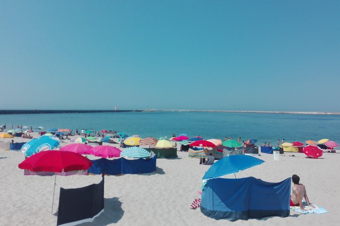 Aveiro, Costa Nova beach and Moliceiro Boat, half-day from Coimbra - The guide, Xavier: why this tour keeps scoring high