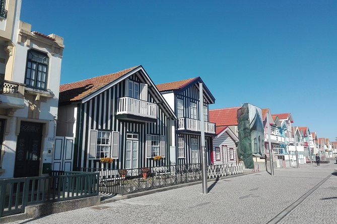 Aveiro, Costa Nova beach and Moliceiro Boat, half-day from Coimbra - Who this half-day trip is best for