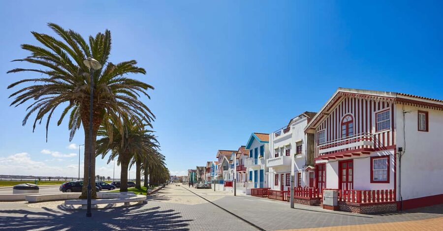 Aveiro: Half-Day Tour from Porto with Optional Cruise - The guide and driver factor: why the top reviews sound similar