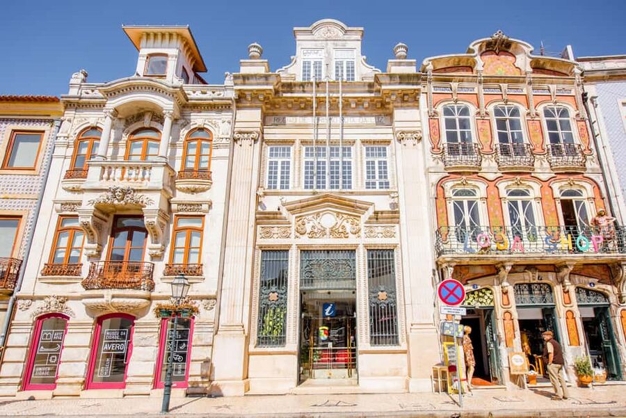 Aveiro: Half-Day Tour from Porto with Optional Cruise - Price and value: what $51 covers, and what to consider