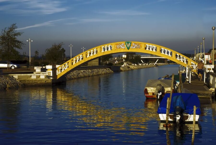 Aveiro: Half Day Tour with Boat Ride - Navigating Aveiro’s Canals Like You Actually Know the City