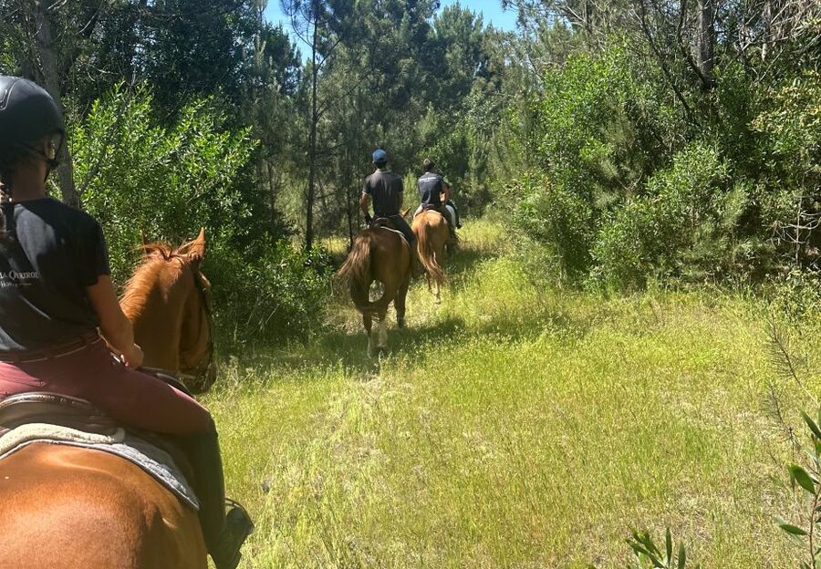 Aveiro: Horse Riding Experience with Instructor - Key highlights worth your attention