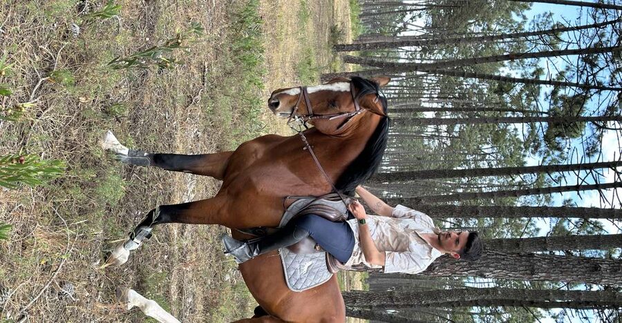 Aveiro: Horse Riding Experience with Instructor - Finding GQhorses Equestrian Center and getting ready