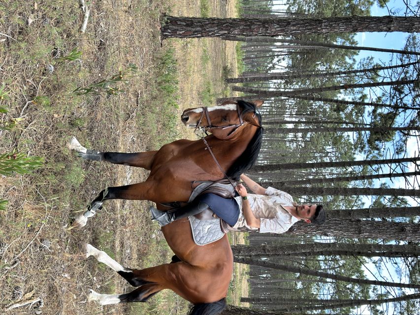 Aveiro: Horse Riding Experience with Instructor - Who this is for, and who should choose something else
