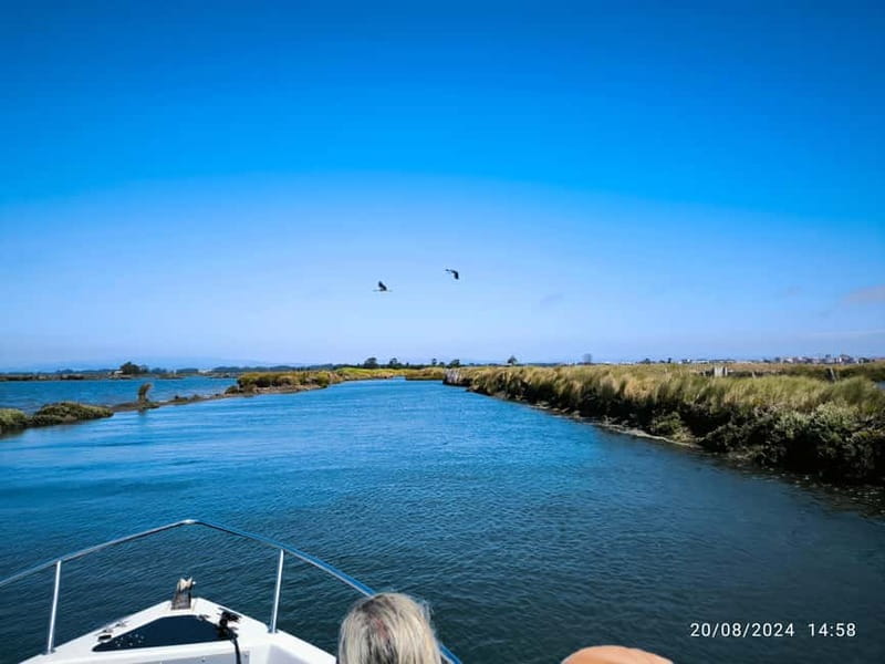 Aveiro: Ria Highlights Boat Tour - Onboard comforts: life vests, rain cover, music, and wifi