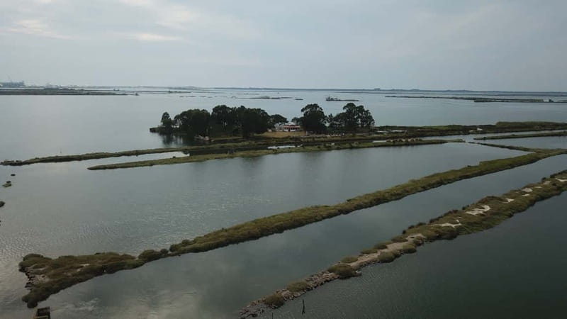 Aveiro: Ria Highlights Boat Tour - Who this tour fits best, and who should skip it