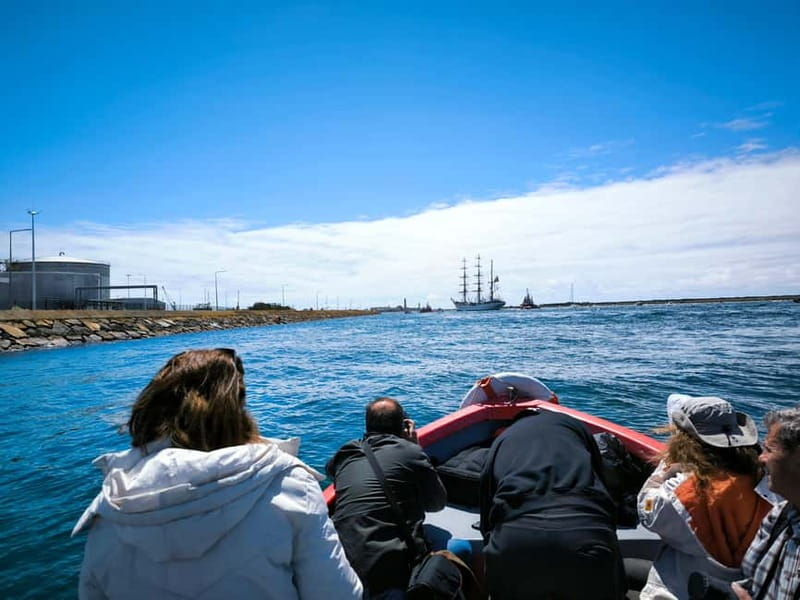 Aveiro: Ria Highlights Boat Tour - Price and value: what $35 buys you in Aveiro