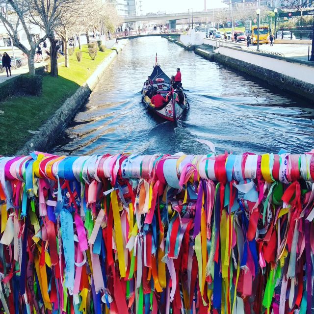 Aveiro: Walking Tour, Boat Cruise, Sweets & Church Entrance - Key Highlights to Know Before You Go