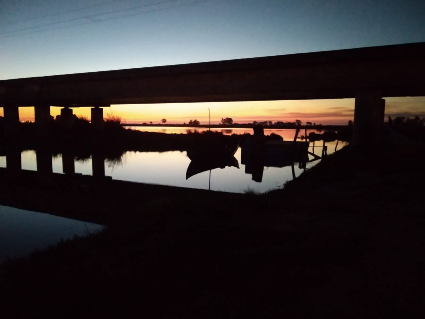 Aveiro: Walking Tour, Boat Cruise, Sweets & Church Entrance - Beira Mar on Foot: Fishermen Streets, Colorful Canals, and Market Energy