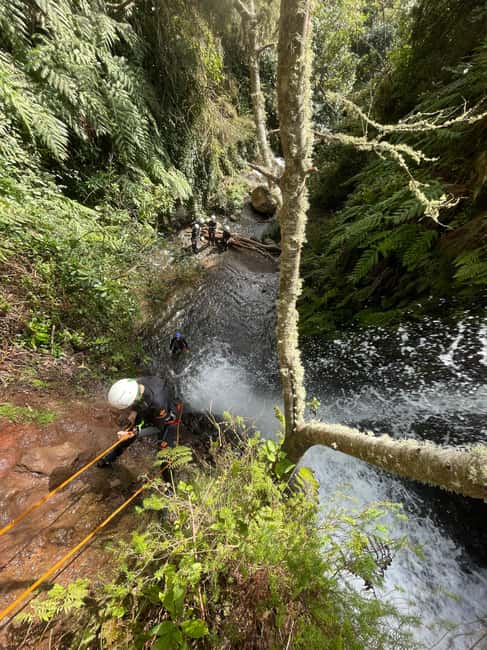Beginner Canyoning Madeira - Should you book Beginner Canyoning Madeira with EPIC Madeira?
