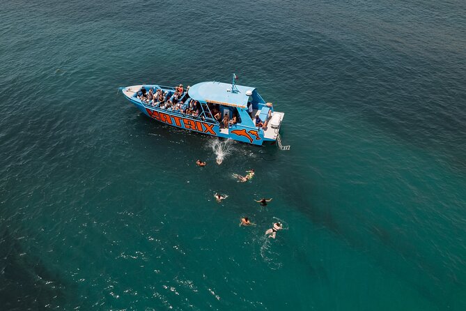 Benagil Caves and Dolphin Watching - 2.5h - Who this tour fits best, and who should think twice