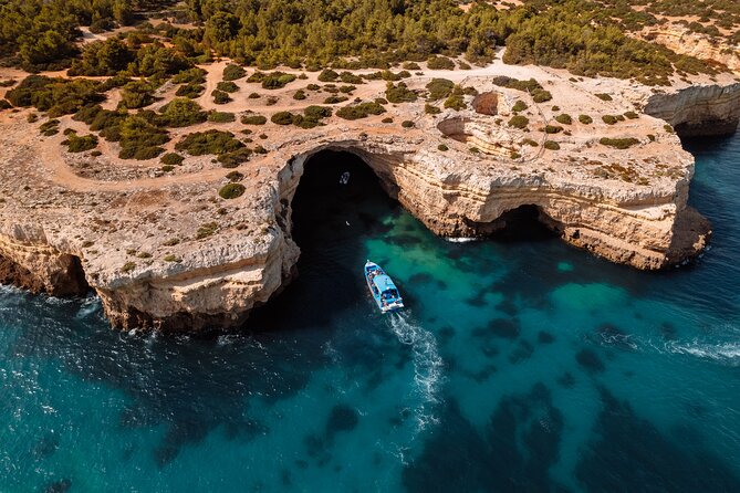 Benagil Caves and Dolphin Watching - 2.5h - Meeting at Algarve Charters: quick start, small-group feel
