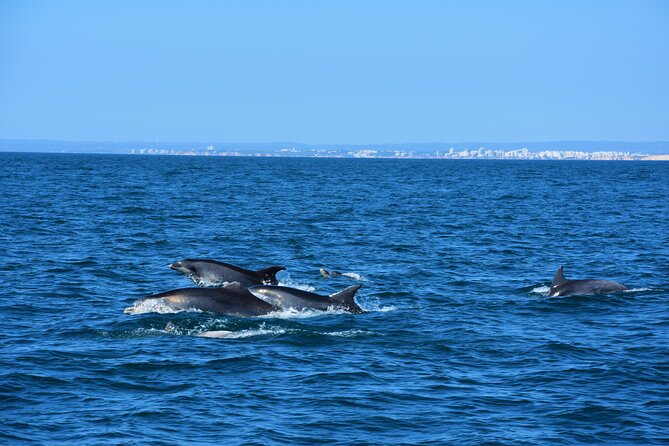 Benagil Caves Visit with Dolphins Watching from Albufeira - Albandeira rock formations: Arc de Triomphe and Gruta dos Capitães