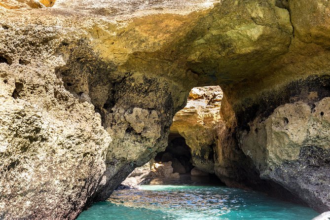 Benagil Long Boat tour (From Carvoeiro to Praia da Marinha) - Dolphins and the Realities of Wildlife Watching