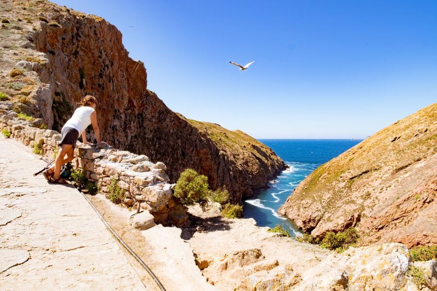 Berlengas The Atlantic Frontier: Day Tour from Lisbon - Beach time, lunch, and snorkeling: how to plan your downtime