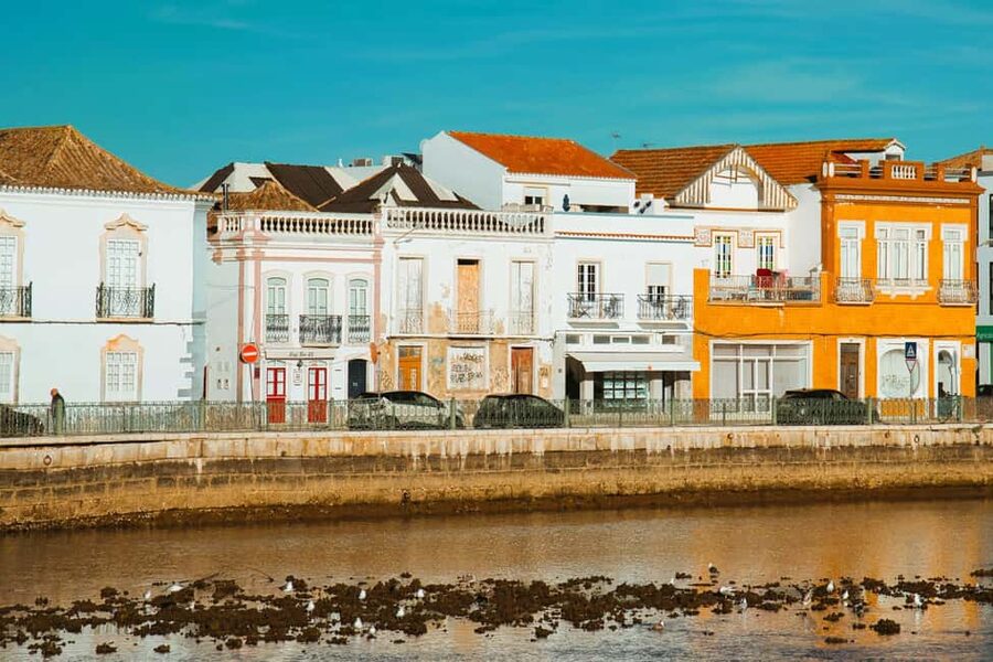 Best of the East: Day Trip to Faro, Olhão, Tavira, & more - Olhão’s market and fishing-town vibe, where shopping feels real