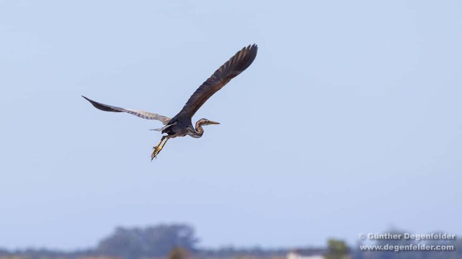 Birdwatching Solar Boat Tour Aveiro Lagon - Cais do Sal: getting oriented near Ecomuseu Marinha da Troncalhada