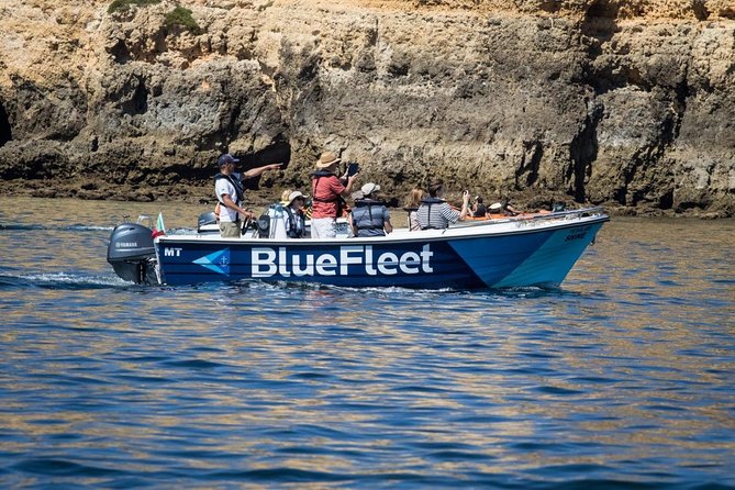 Boat Trip to Ponta da Piedade from Lagos - Should you book this Ponta da Piedade boat trip?