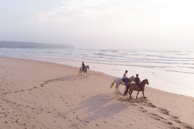 Bordeira Beach - Horse Riding Tour at Sunset - Starting in the pines and mystic forest, then crossing dunes