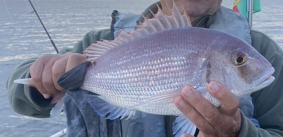 Bottom Fishing Lagos - Key things I’d lock in before you go