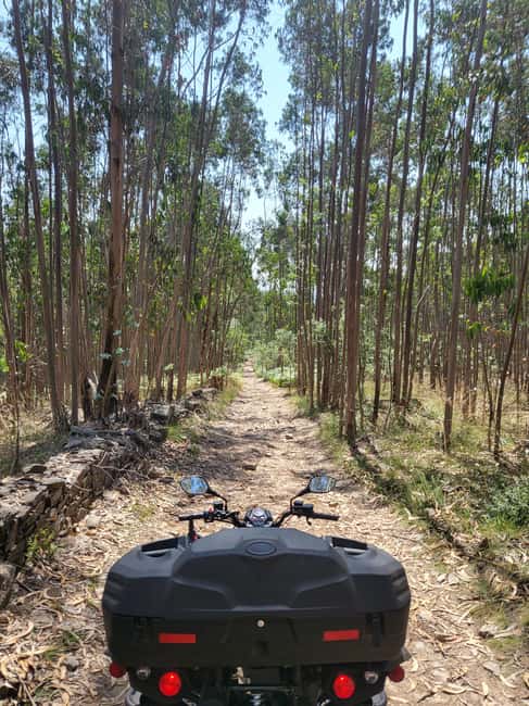 Braga: Quad bike ride, experience the adventure in Braga with Quad Paradise! - Who it suits best, and who should skip it
