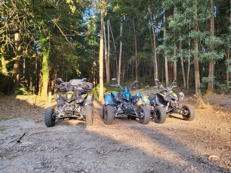 Braga: Quad bike ride, experience the adventure in Braga with Quad Paradise! - Price and value: $84 per group, and what you actually get for it