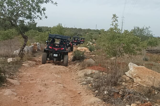 Buggy Adventure - 1.5 Hours Off-Road Guided Tour from Albufeira - Your Buggy Setup: 2 Seats, Driver Swaps, and Safety First