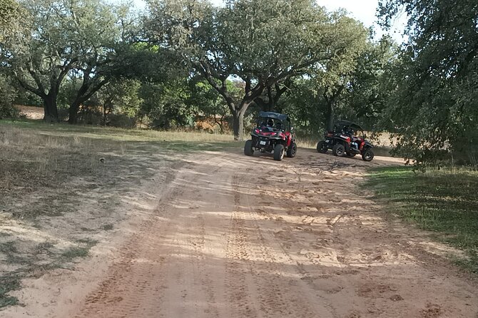 Buggy Adventure - 1.5 Hours Off-Road Guided Tour from Albufeira - Practical Tips So Your Ride Goes Smoothly