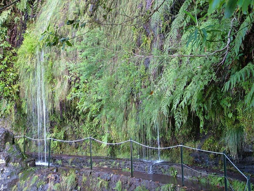 Caldeirão Verde: Levada Caldeirao Verde Hiking Transfer - The flow of the day, without the stress