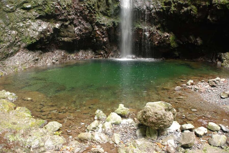 Caldeirão Verde: Levada Caldeirao Verde Hiking Transfer - Queimadas Natural Park: what you’re hiking through