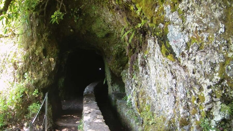 Caldeirão Verde: Levada Caldeirao Verde Hiking Transfer - Walking the levada: 13 km, tunnels, and the wet-foot reality