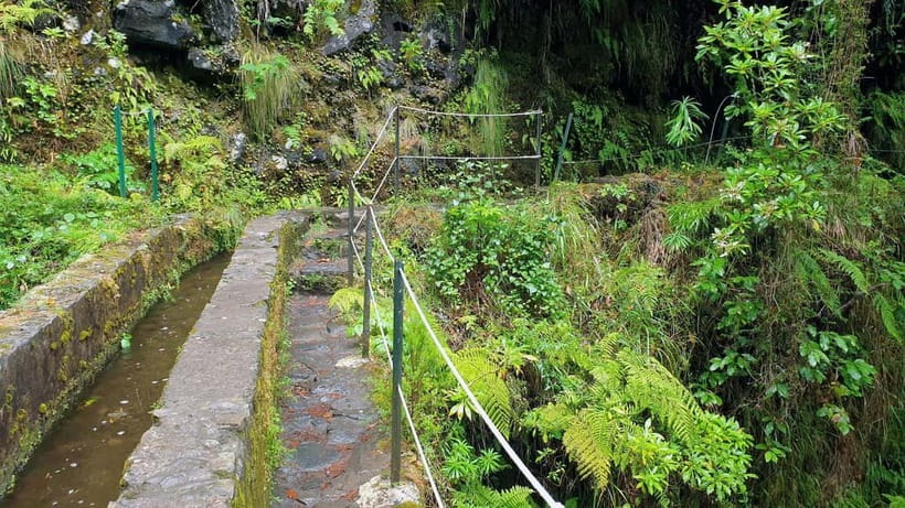 Caldeirão Verde: Levada Caldeirao Verde Hiking Transfer - What to bring so you are comfortable (not just capable)