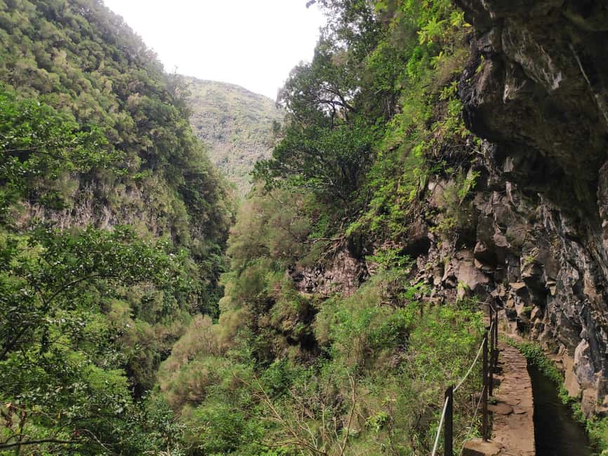 Caldeirão Verde: Levada Caldeirao Verde Hiking Transfer - Who this hike suits, and who should skip it