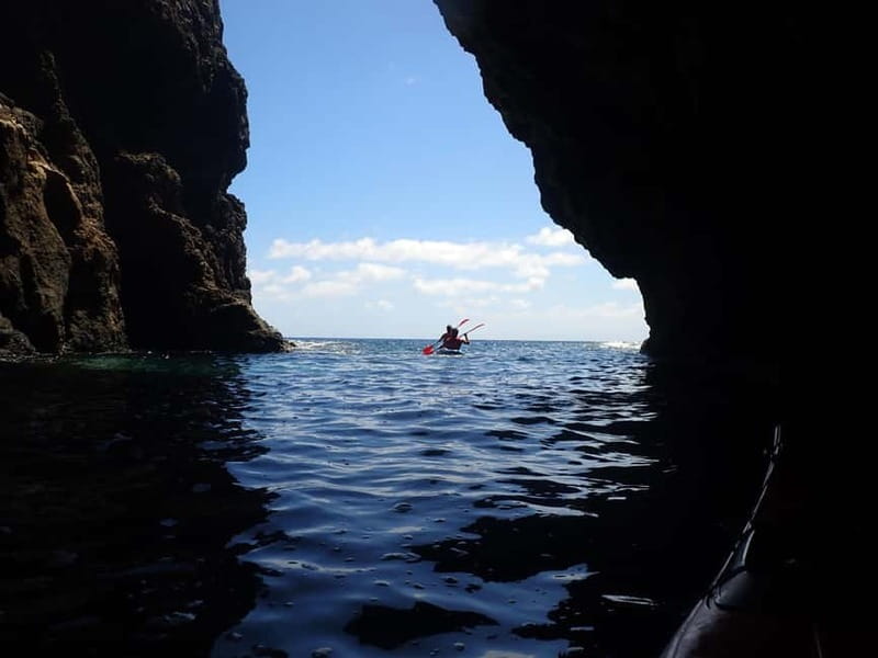 Calheta Kayak Tour - What is included in the price, and why $49 can be good value
