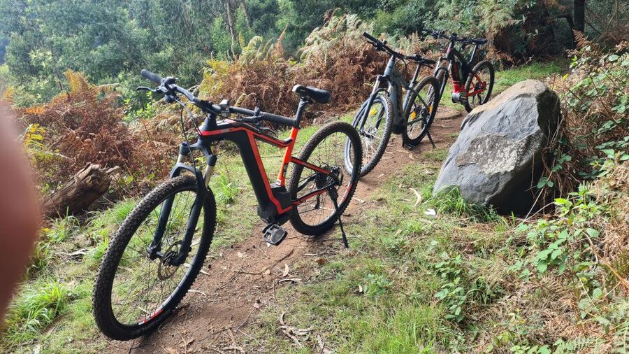 Camacha: Levada Trail e-Bike Guided Tour - Camacha and the levadas: a Madeira nature route you can actually ride